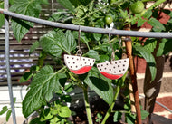 Ceramic slice earrings